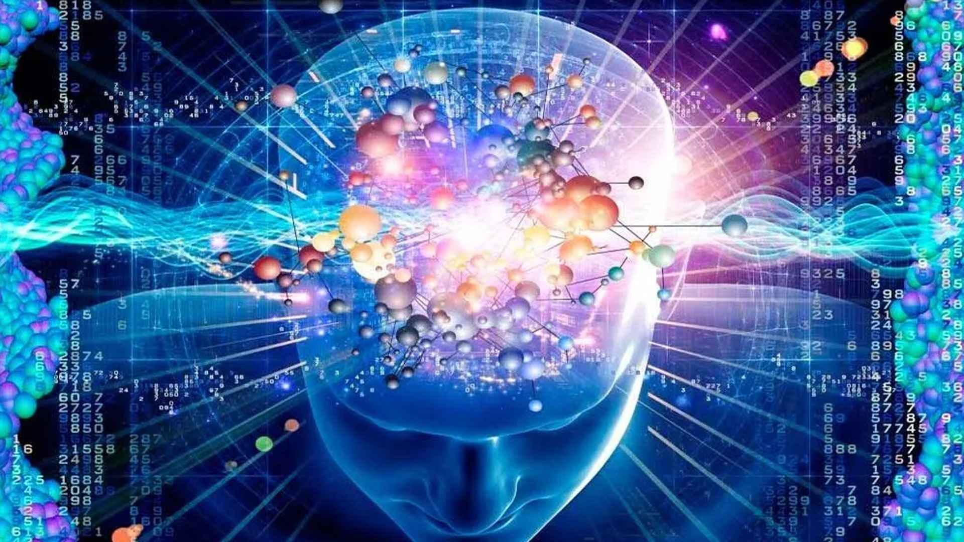 স্মৃতিশক্তি বাড়াতে পাতে রাখুন এই ৩ খাবার