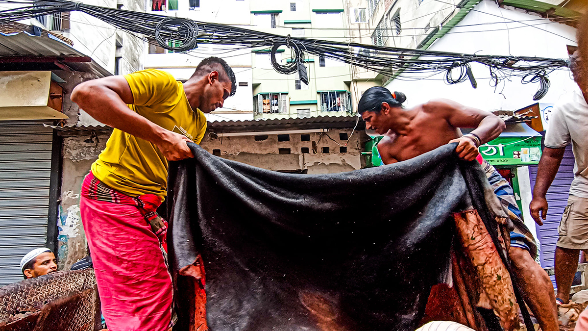 cow-skin3