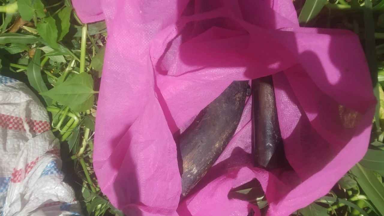 পতেঙ্গায় বিল থেকে পরিত্যক্ত ২ রাইফেল উদ্ধার