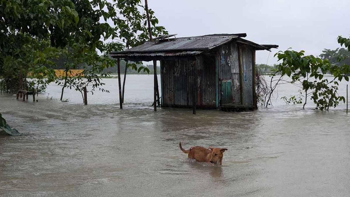সুনামগঞ্জে বন্যা পরিস্থিতির আরও অবনতি, ভোগান্তি চরমে