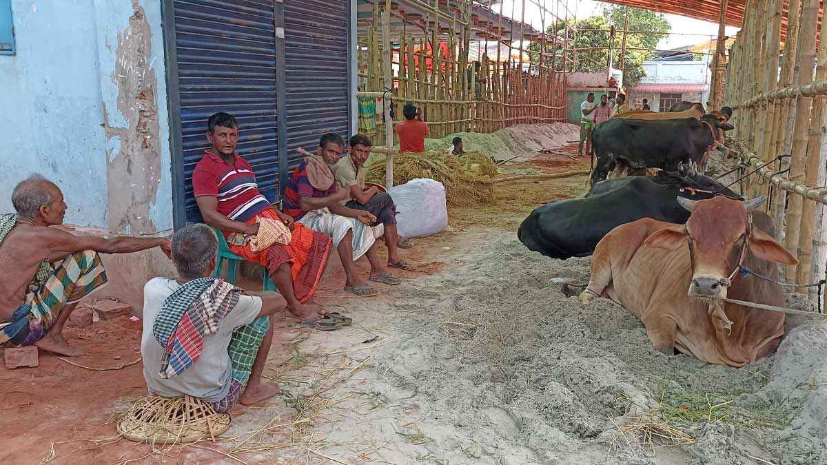 হাটে আসতেই ১ লাখ ৩০ হাজার টাকা লোকসান!