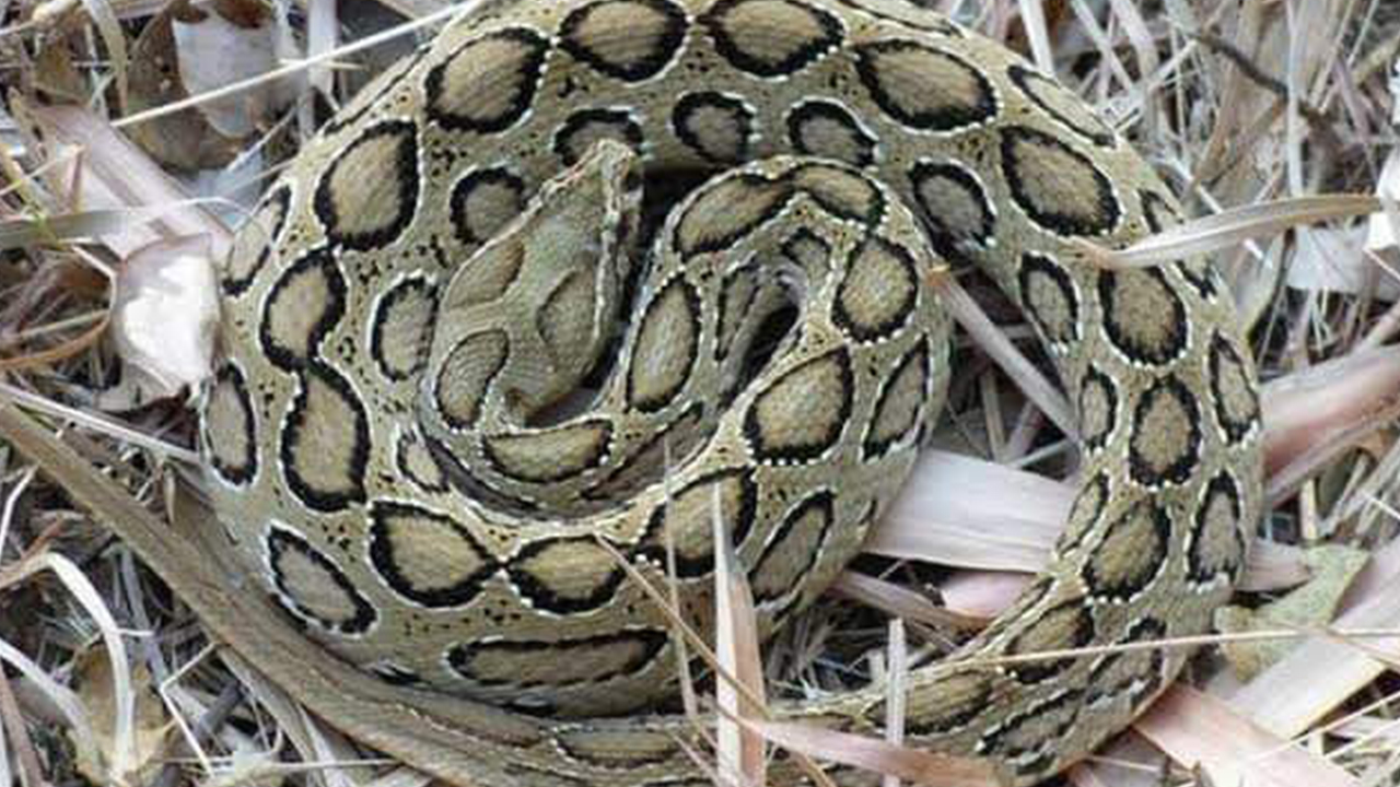 image_48482_1702650897 image_48482_1702650897