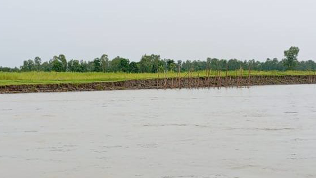 image_96811_1718466527