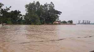 কুড়িগ্রামে পাহাড়ি ঢলে নিম্নাঞ্চল প্লাবিত