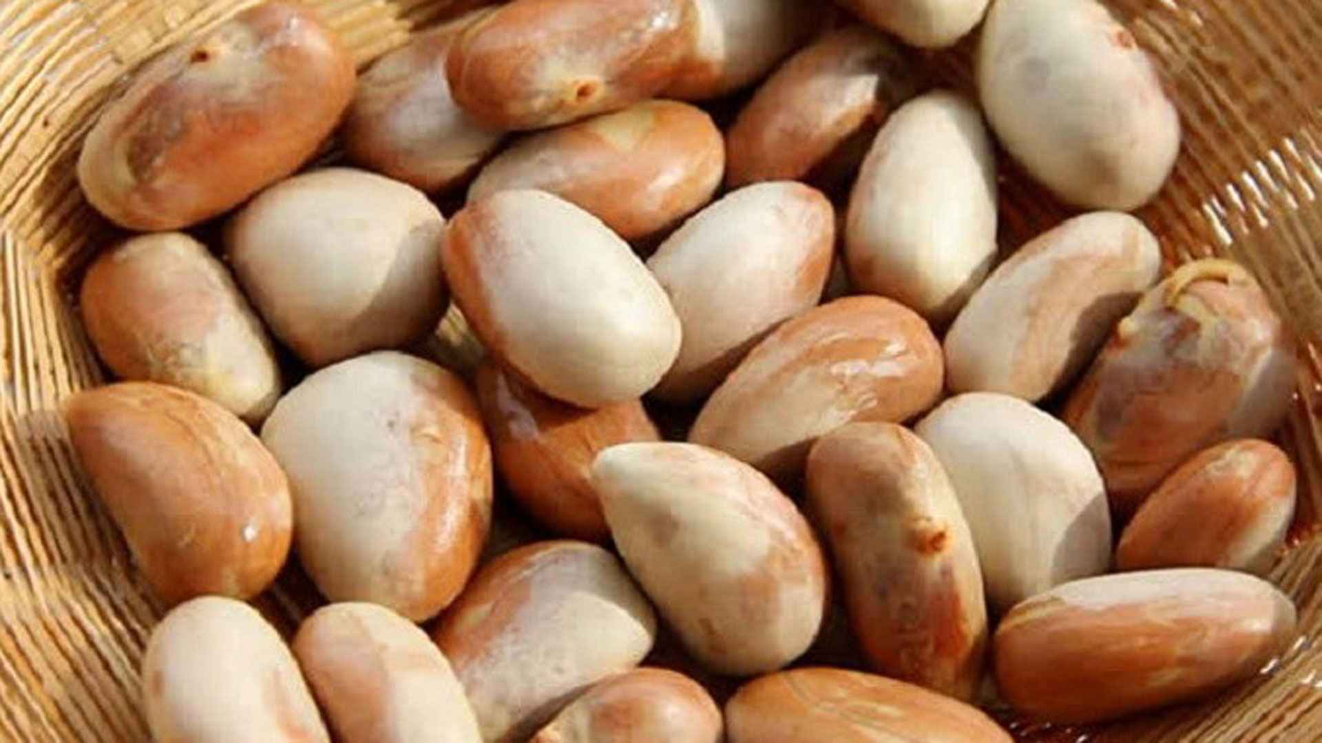 কাঁঠালের বিচি খাওয়ার উপকারিতা