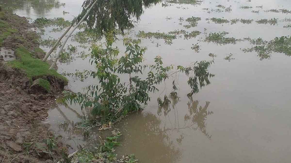 কুড়িগ্রামে বাড়ছে নদ-নদীর পানি, বন্যার শঙ্কা