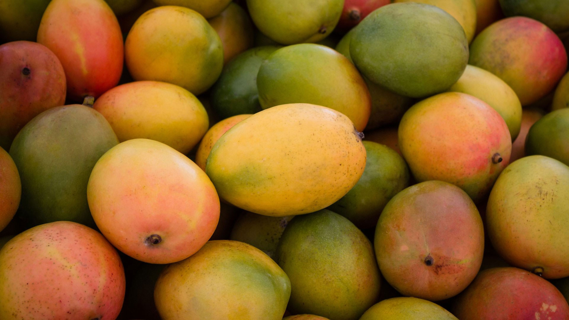mango2
