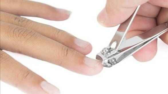 কোরবান পর্যন্ত চুল-নখ না কাটা শুধু কি কোরবানিদাতার আমল?