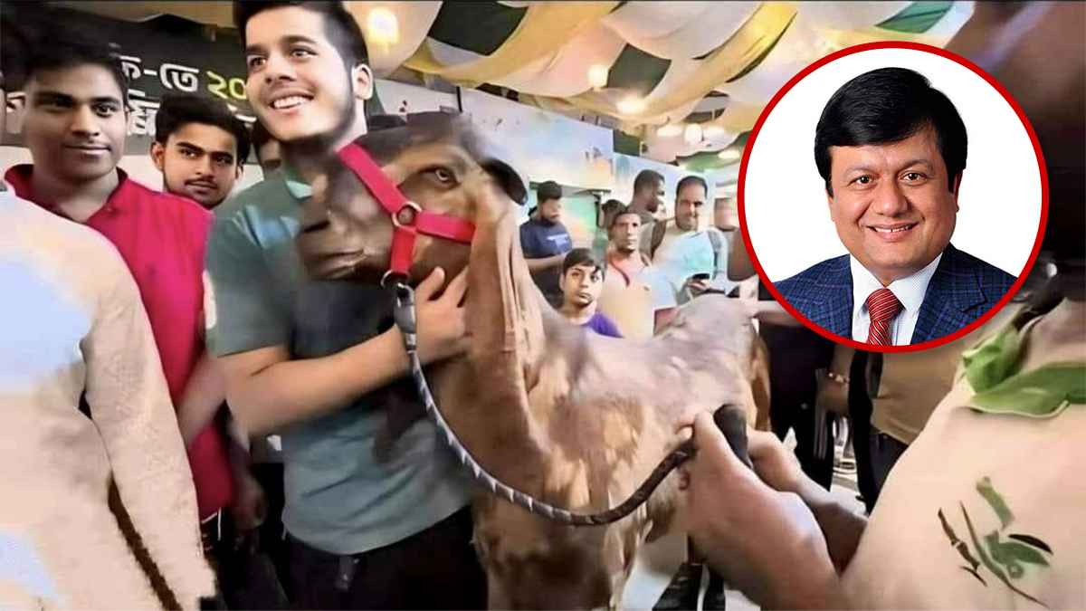 ১৫ লাখে ছাগল কেনা ইফাত আমার ছেলে নয়: এনবিআর কর্মকর্তা