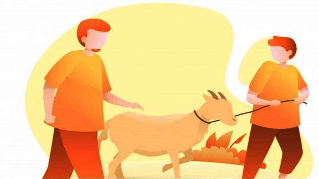 নাবালেগ কোরবানির পশু জবাই করতে পারবে?