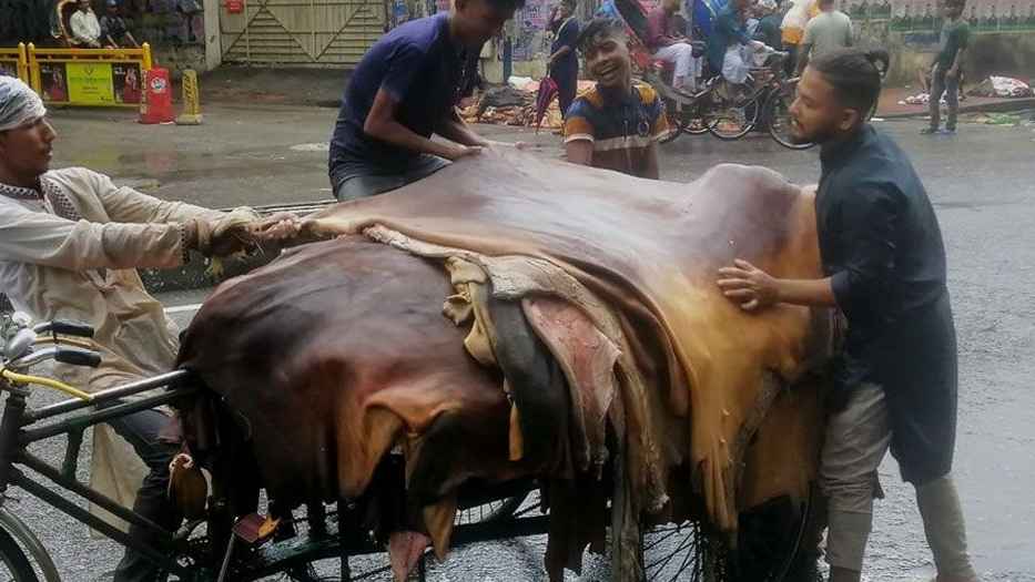 কোরবানির চামড়া বিক্রির টাকা নিজের প্রয়োজনে খরচ করা জায়েজ?