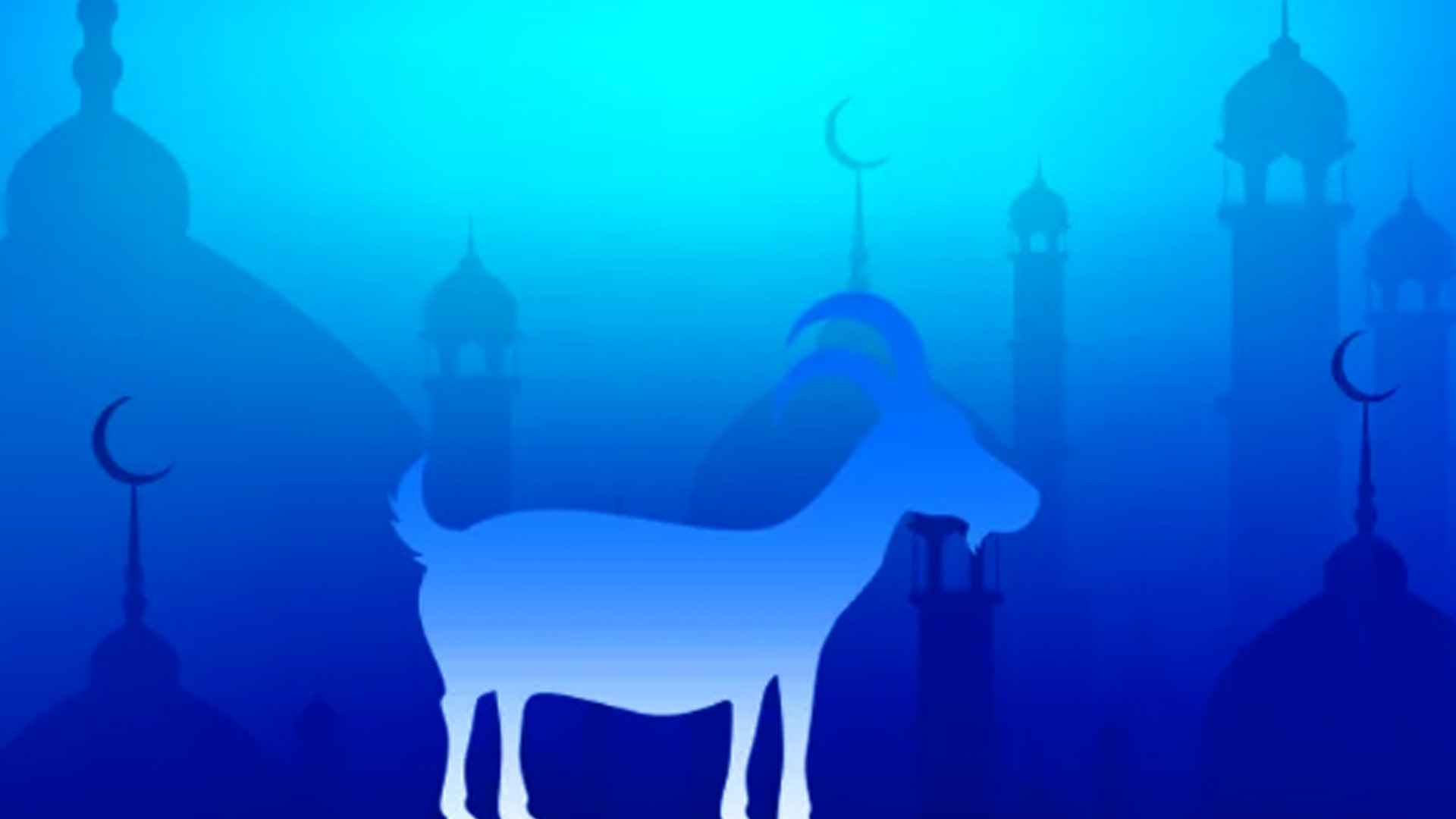 স্ত্রীকেও আলাদাভাবে কোরবানি করতে হবে কি?