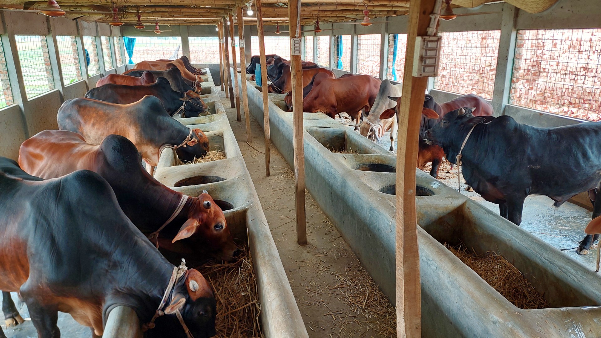 thumbnail_20240601_124702