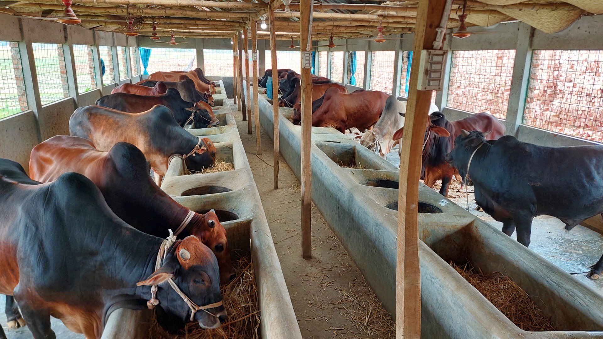 thumbnail_20240601_124704