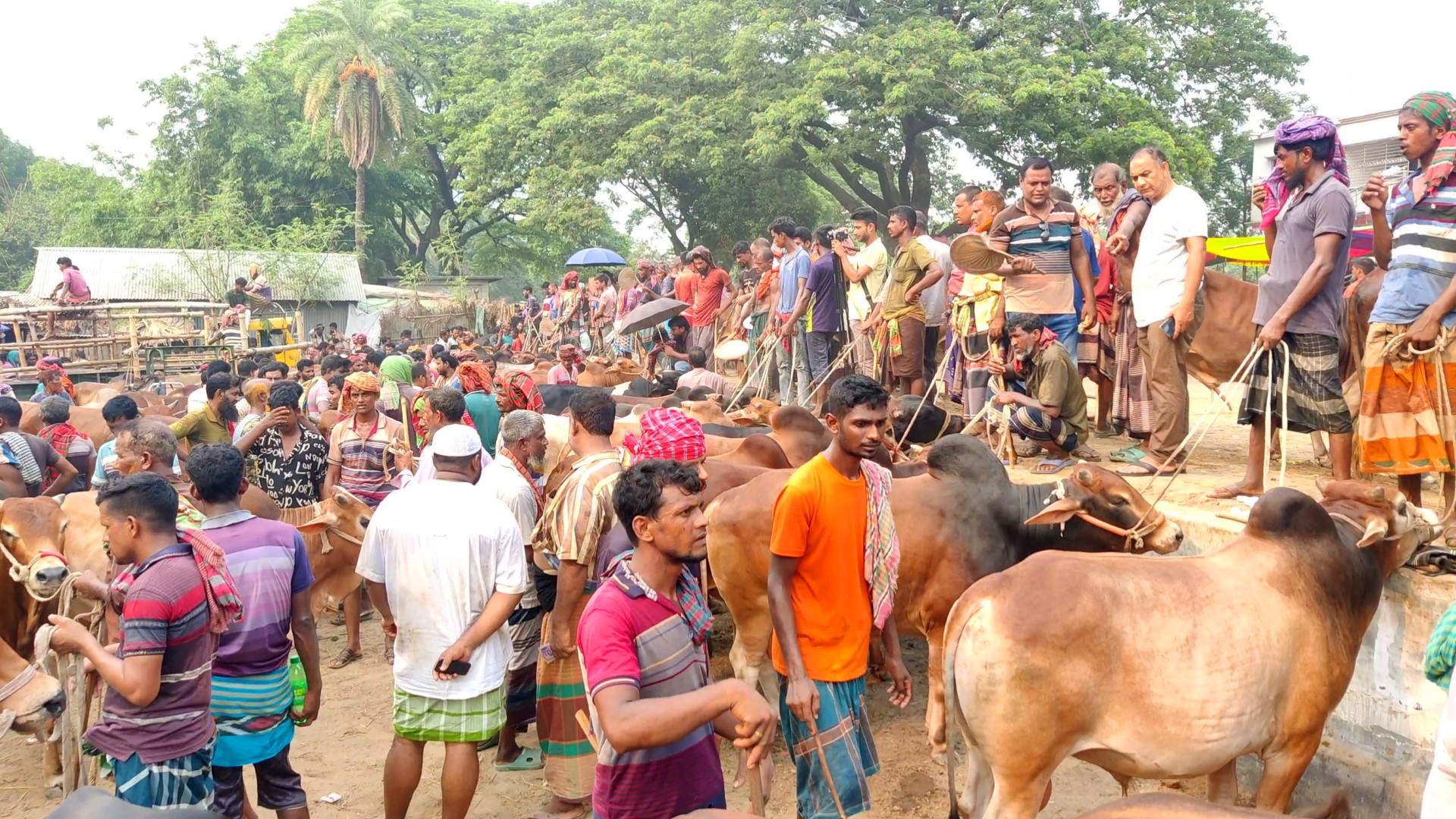 thumbnail_Chuadanga_Poshu_Hat_Photo-_(12)