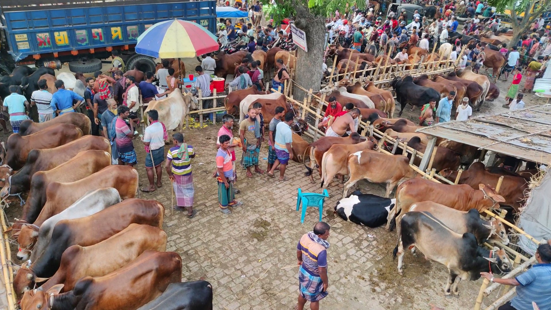 thumbnail_Chuadanga_Poshu_Hat_Photo-_(2)