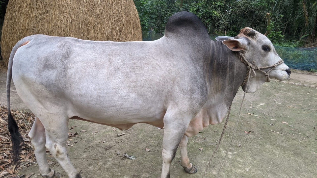 thumbnail_IMG-20240608-WA0003