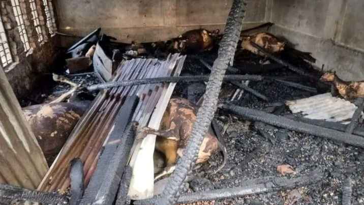 ঝালকাঠিতে কয়েলের আগুনে গরু-ছাগল পুড়ে ছাই