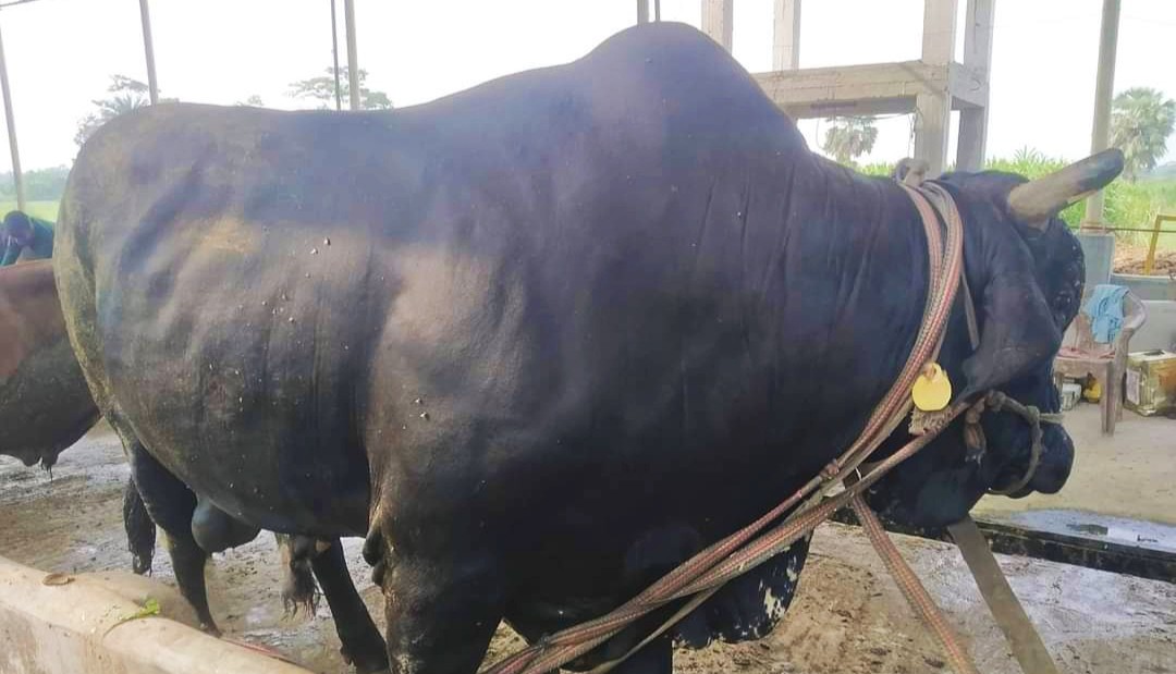 thumbnail_IMG_20240611_072846