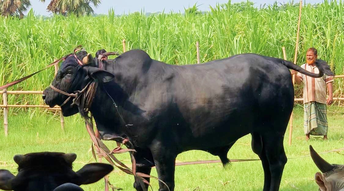 thumbnail_IMG_20240611_072859