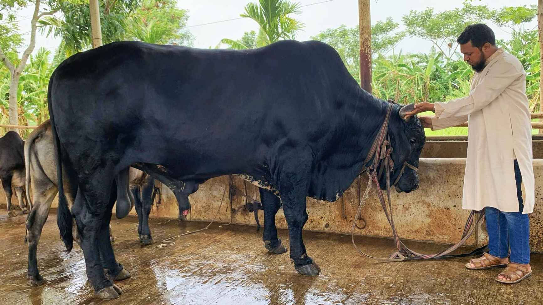 ৮ লাখ টাকায় মিলবে ব্লাক ডায়মন্ড