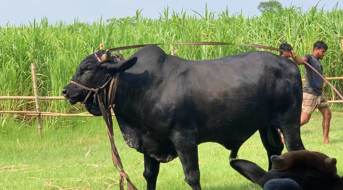 thumbnail_IMG_20240611_072925