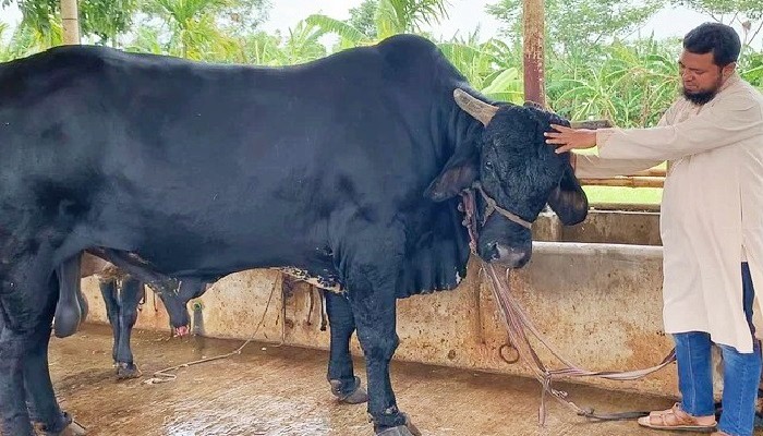 thumbnail_IMG_20240611_073310