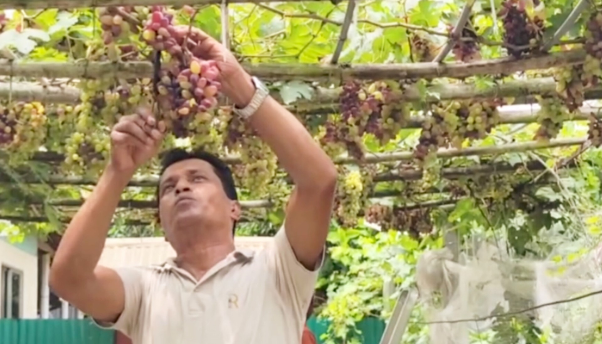 thumbnail_InShot_20240616_121723297