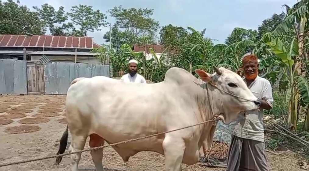 thumbnail_Messenger_creation_8464f246-70b5-4496-a825-ddc303d4957d