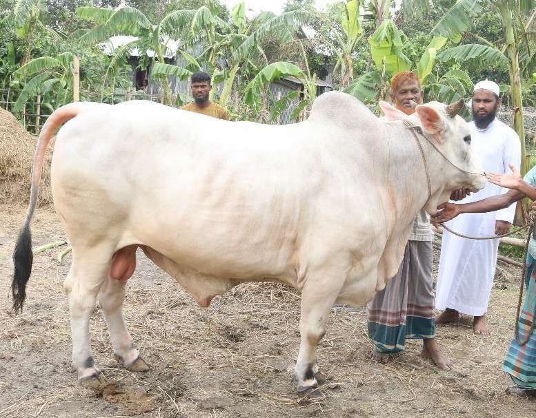 thumbnail_Messenger_creation_cf5eb88d-f7e0-4926-be69-1774f22e1127