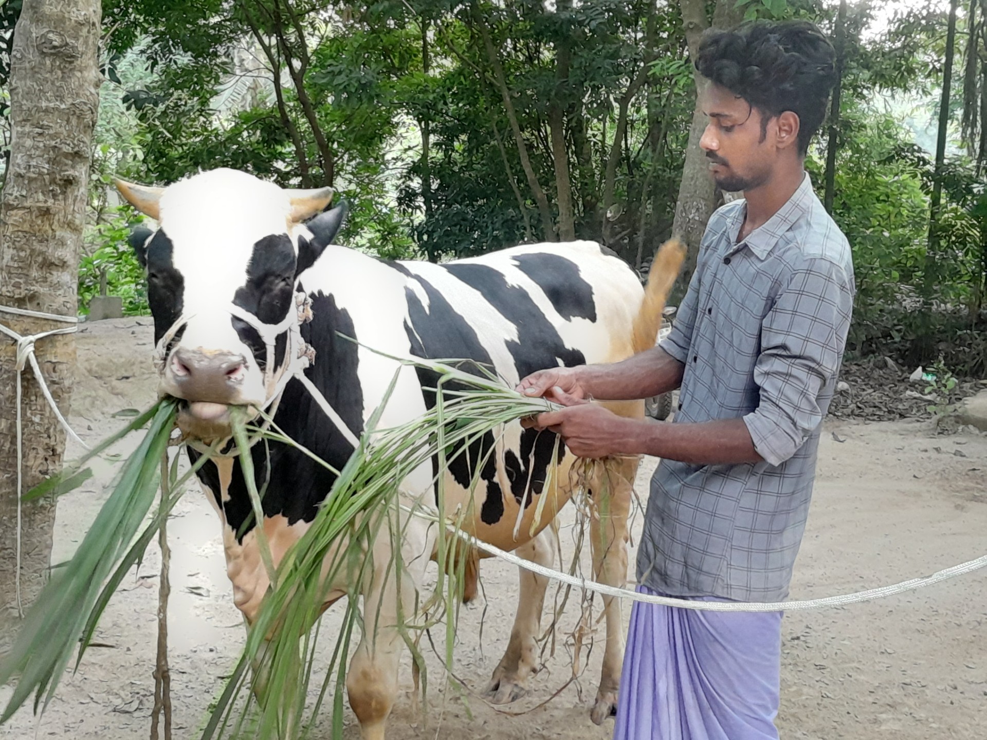 thumbnail_Nawabgonj_(Dhaka)_News