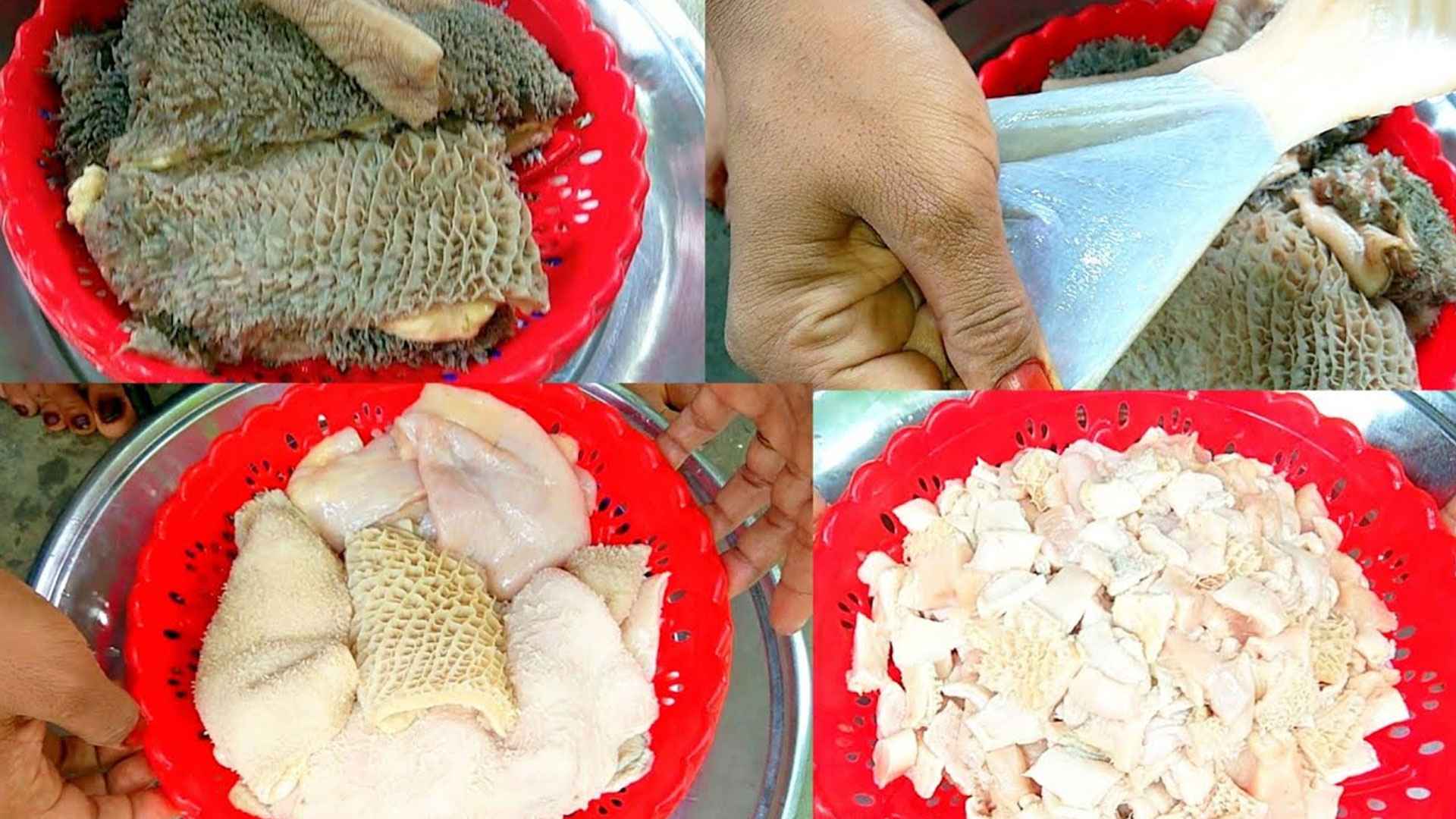 গরুর ভুঁড়ি পরিষ্কার করুন মাত্র ১০ মিনিটে, লাগবে না চুন