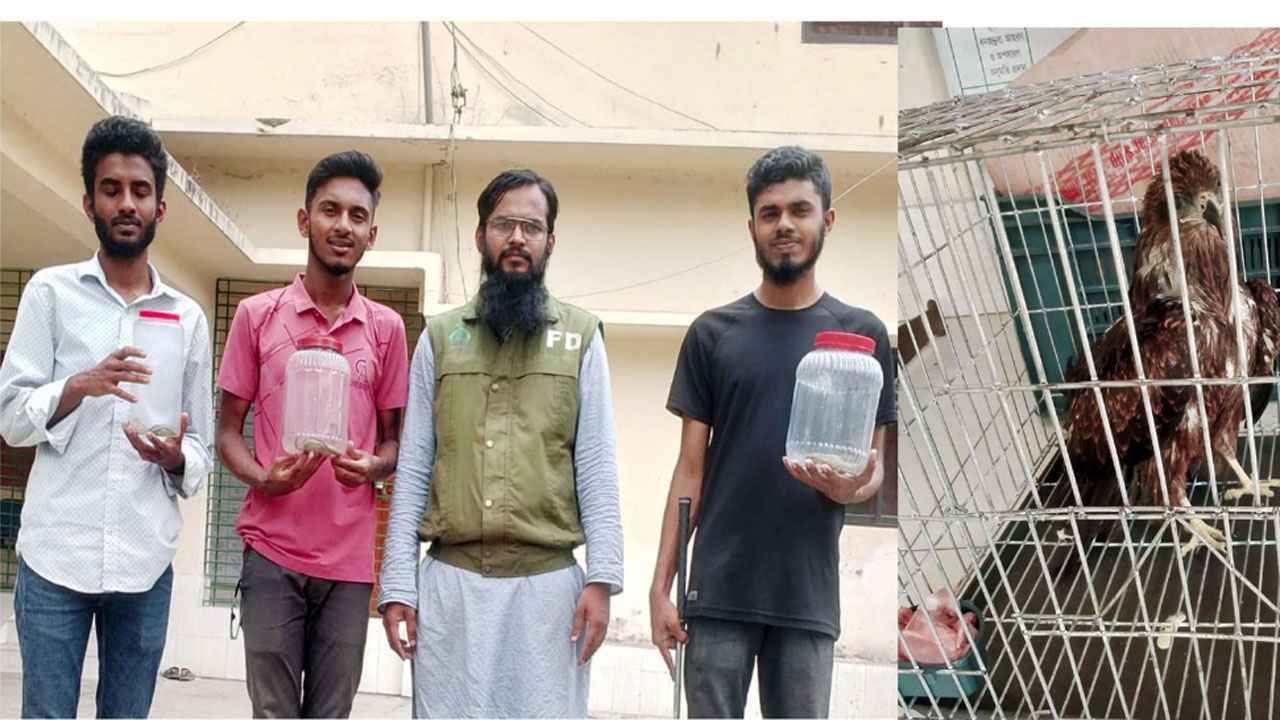 বরিশালে দালানের ছাদ থেকে কালনাগিনী উদ্ধার