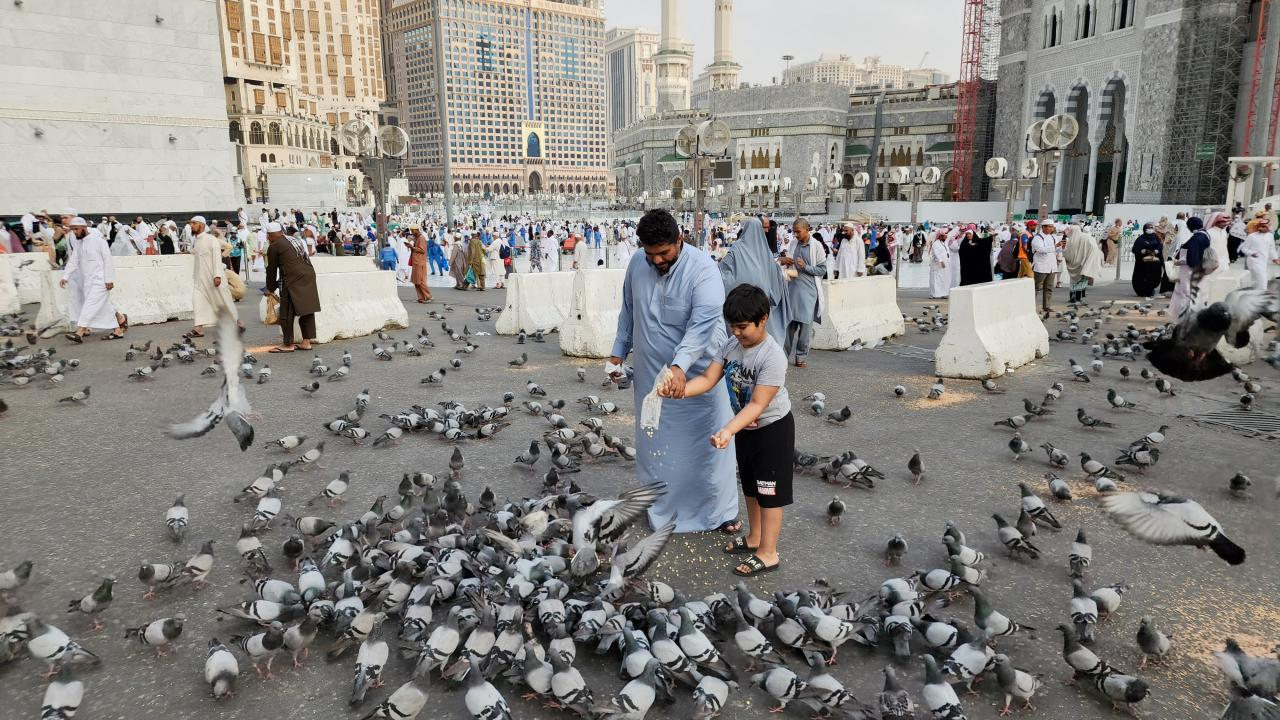 child-and-pegion child-and-pegion