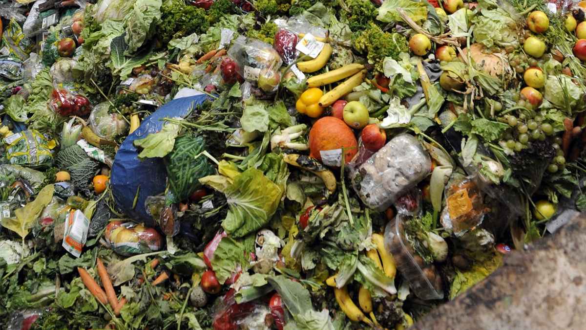 দিনে ১০০ কোটি মানুষের খাবার নষ্ট হয়: জাতিসংঘ