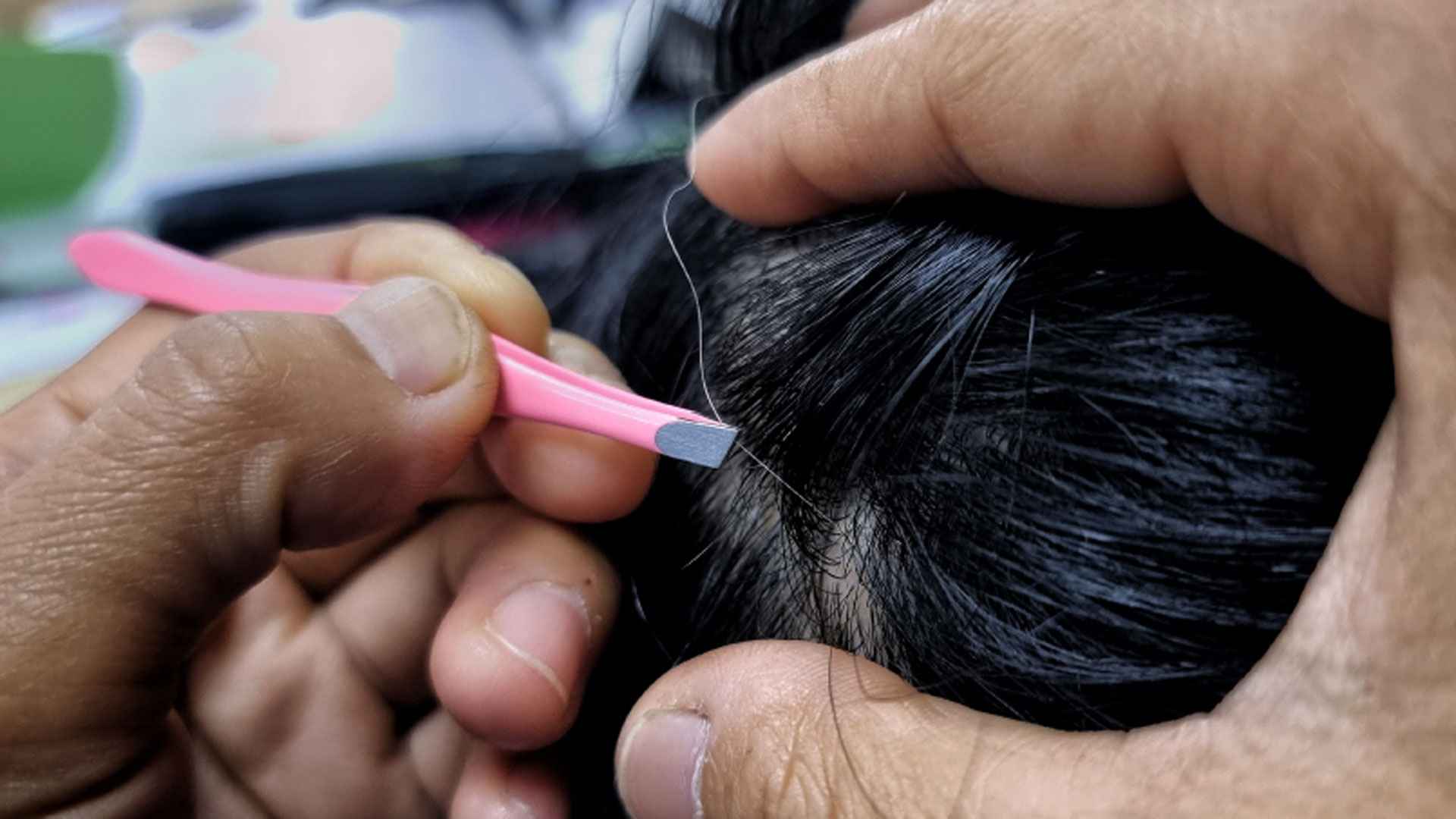 পাকা চুল টেনে তুললে কি সংখ্যায় বেড়ে যায়?