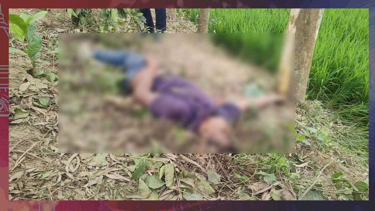 মিশুক চালকের গলাকাটা মরদেহ উদ্ধার