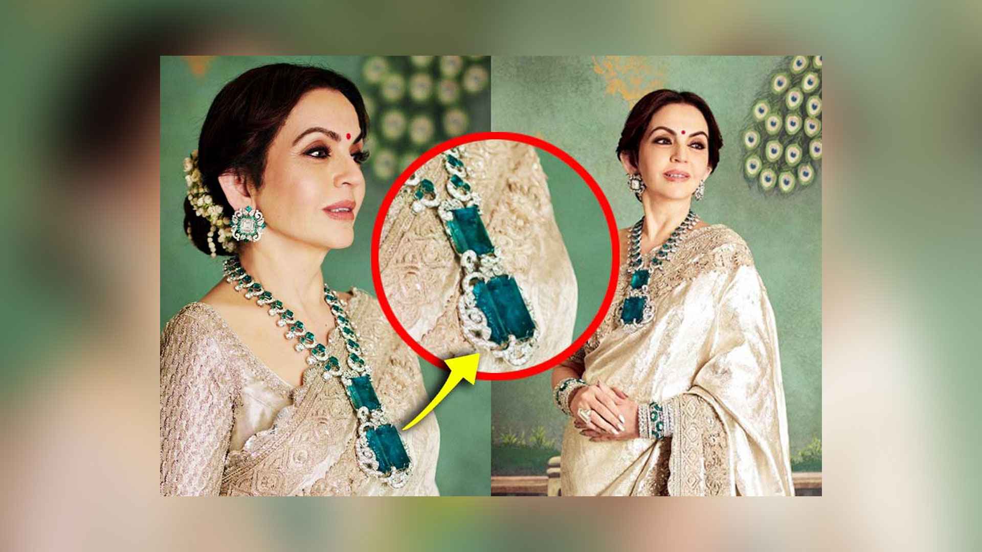 নীতা আম্বানীর এই হারের দাম কত?