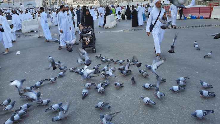 কাবা শরিফে মানুষের সঙ্গে কবুতরের সখ্যতা