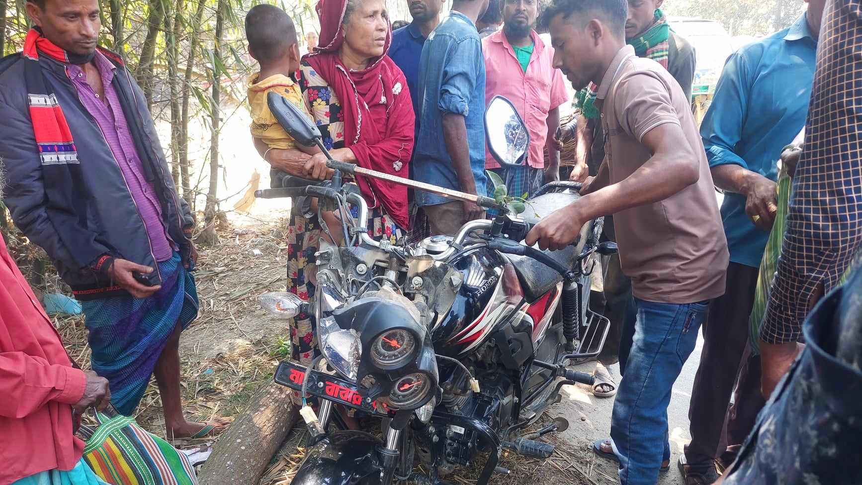 চলন্ত মোটরসাইকেলের ওপর গাছ পড়ে নিহত ১