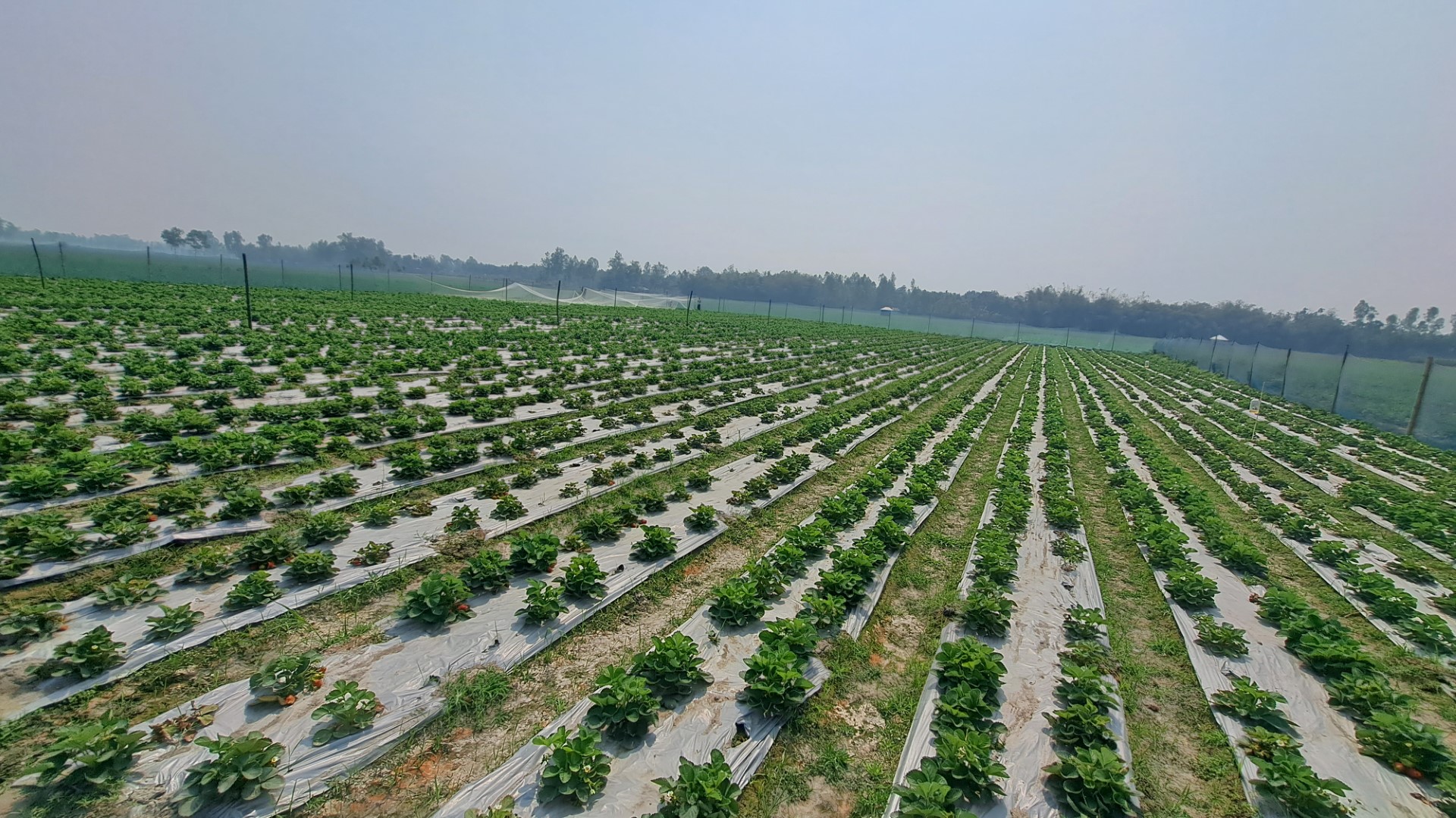 thumbnail_20240302_113911_(1)