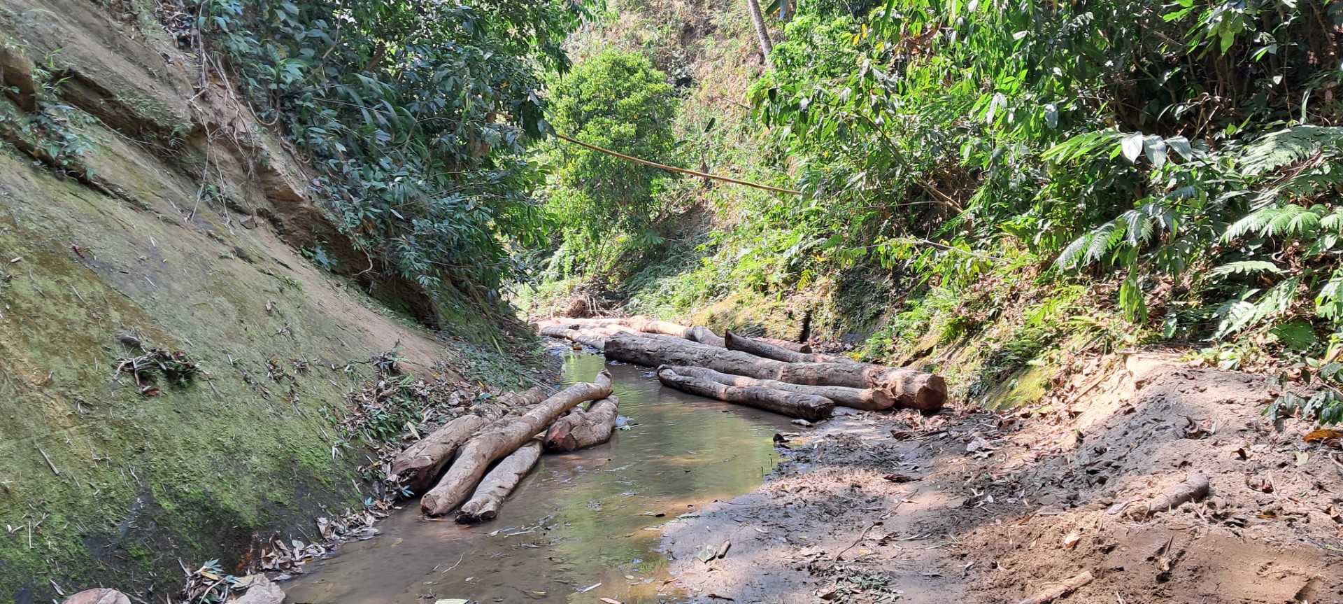 thumbnail_20240317_123710