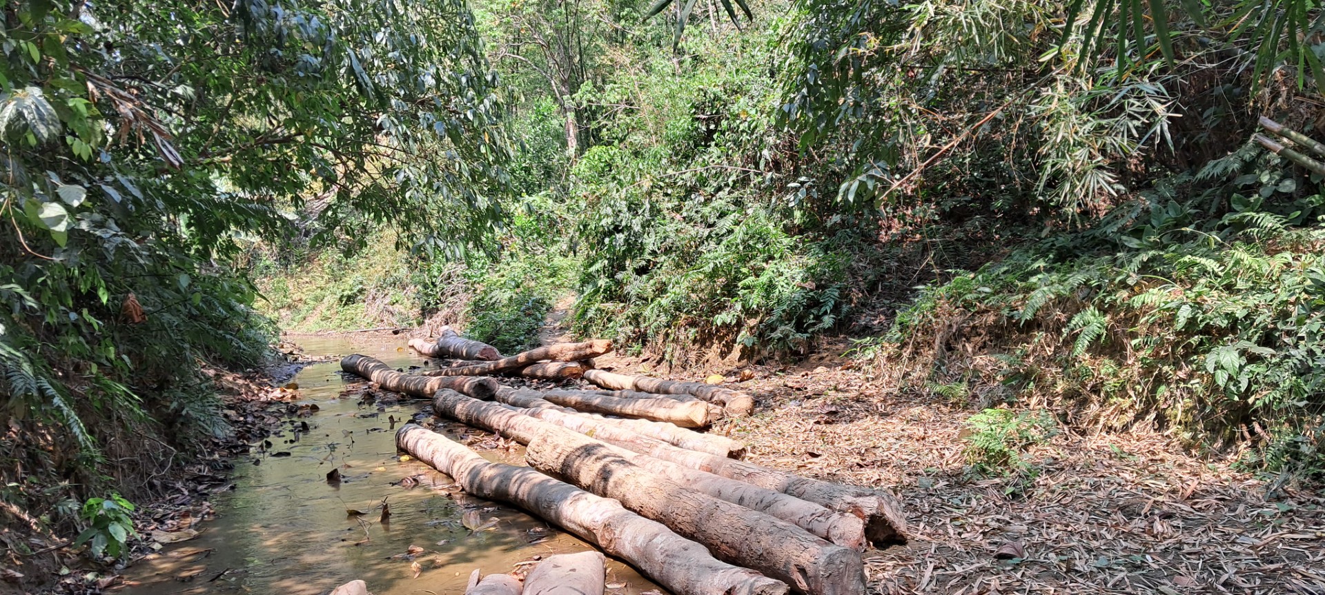 thumbnail_20240317_123719