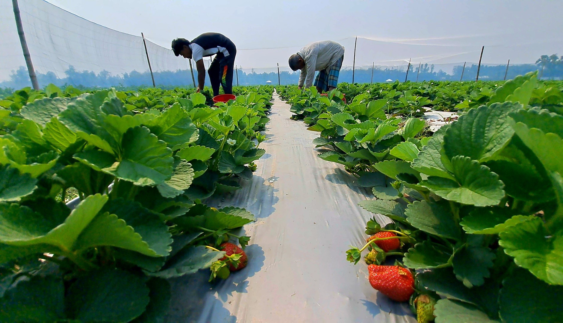 thumbnail_Screenshot_20240304_210444_Gallery