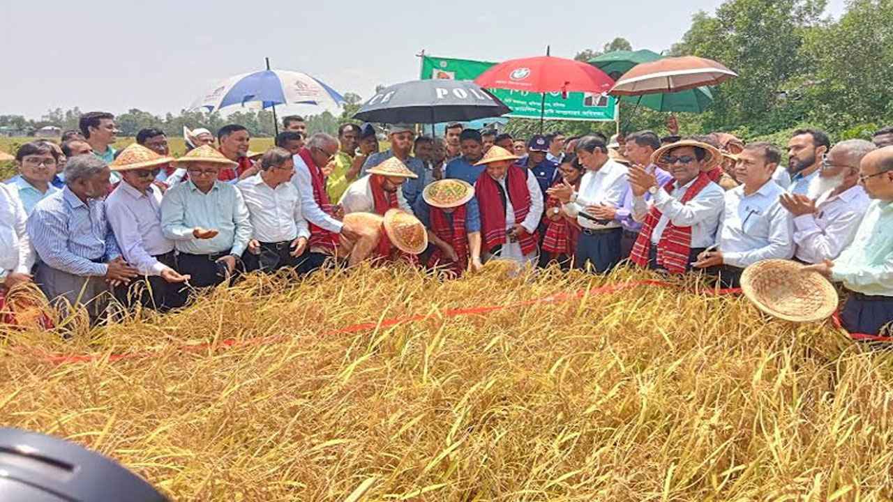 ধানের ন্যায্য মূল্য নিশ্চিতে কৃষক অ্যাপ চালু করা হয়েছে: কৃষিমন্ত্রী