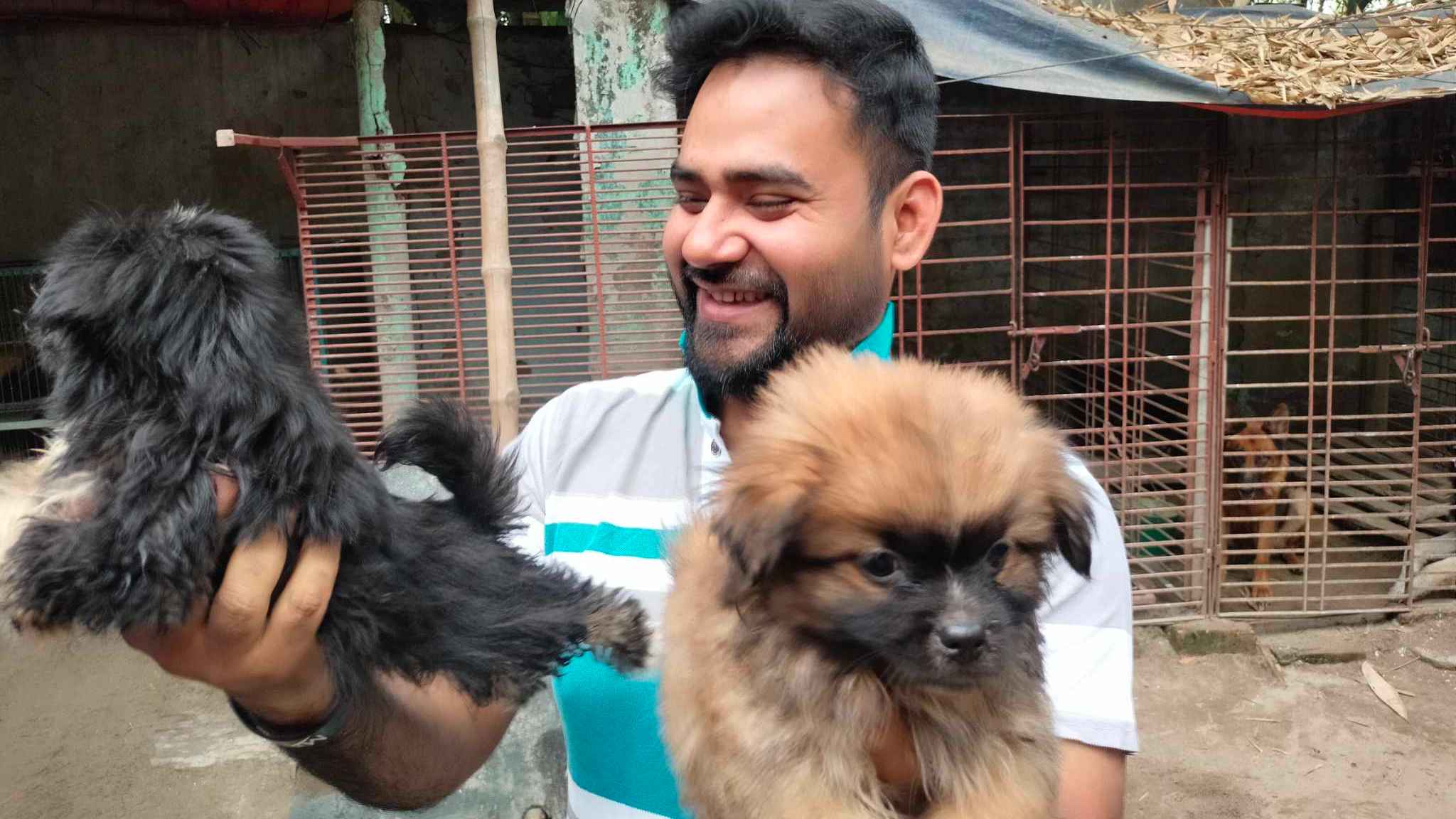 শখের বশে কুকুর পালন, সোহাগের মাসে ২০ লাখের অধিক আয়