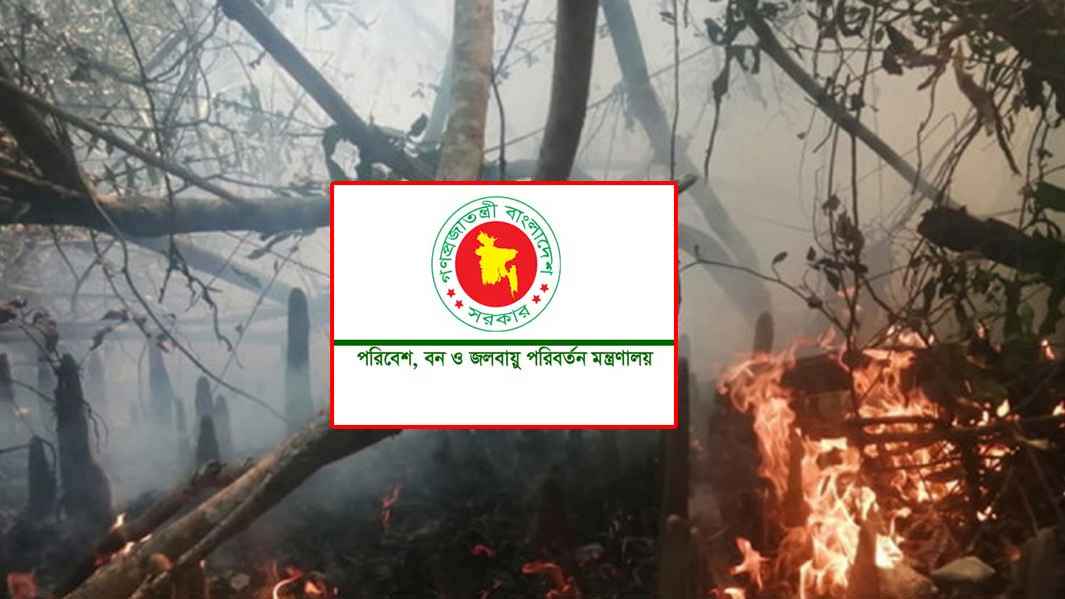 সুন্দরবনের আগুন নিয়ন্ত্রণে: বন মন্ত্রণালয়