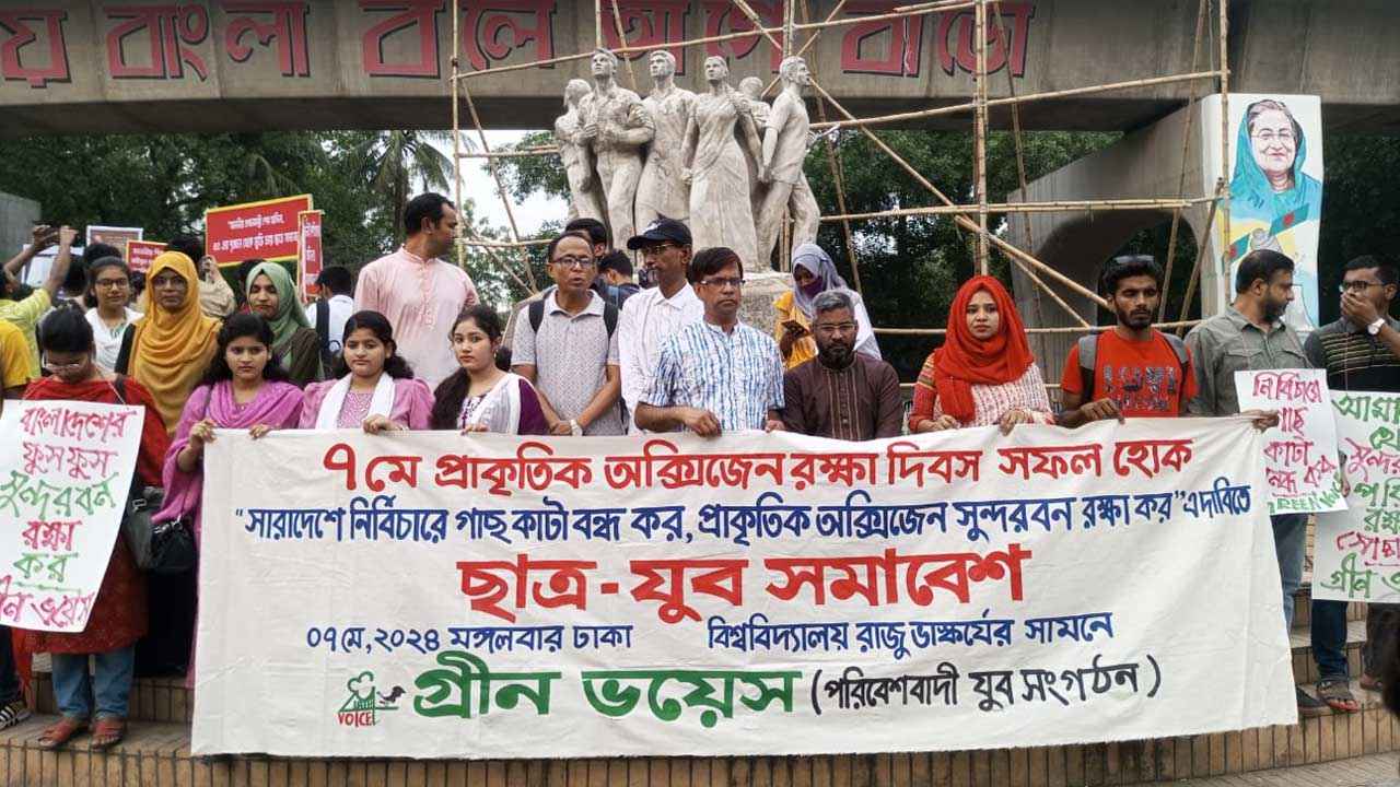 ‘নির্বিচারে গাছ কাটলে প্রকৃতি কীভাবে প্রতিশোধ নেয় তা দেখিয়ে দিয়েছে’