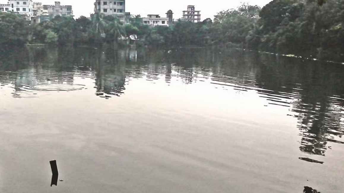 হারিয়ে যাচ্ছে ঢাকার জলাভূমি, তিন দশকে নেই ১৭ শতাংশ