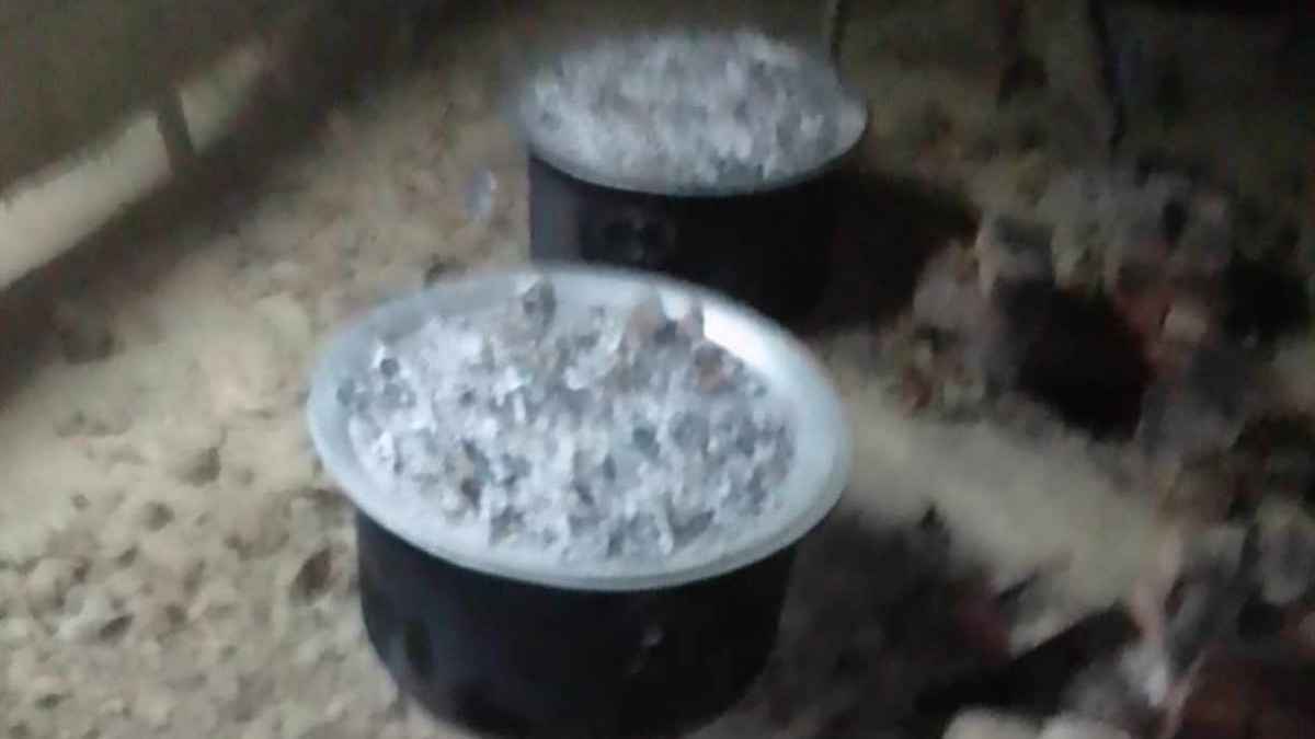 নির্বাচনি পথসভা থেকে তিন ডেগ বিরিয়ানি জব্দ